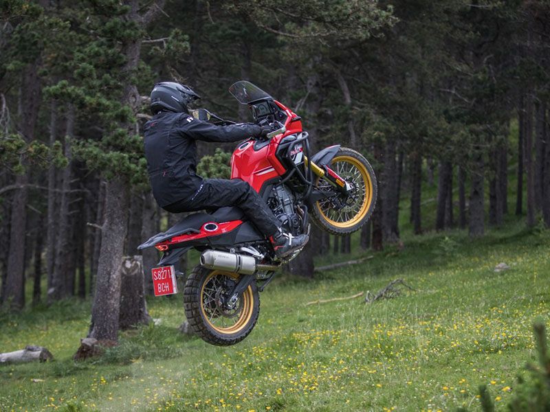 La imagen captura a una persona vestida completamente de negro, incluyendo casco y ropa, realizando un caballito en una motocicleta. La motocicleta es de color rojo y negro, con detalles amarillos en las ruedas. El conductor está levantando la parte delantera de la motocicleta del suelo, equilibrándose sobre la rueda trasera. El entorno es un campo verde lleno de hierba y flores amarillas pequeñas, dando una sensación natural y fresca a la escena. Hay árboles oscuros que se alinean en el fondo, creando un contraste con el campo abierto donde se encuentra el motorista.